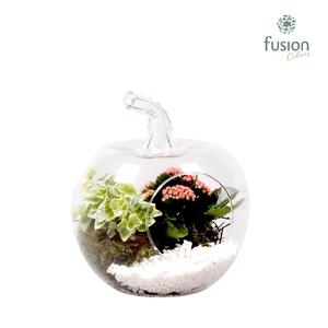 Glazen appel met Arrangement D18.5 H21