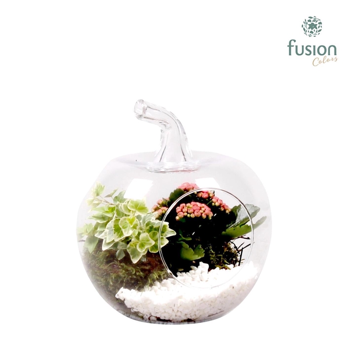 <h4>Glazen appel met Arrangement D18.5 H21</h4>
