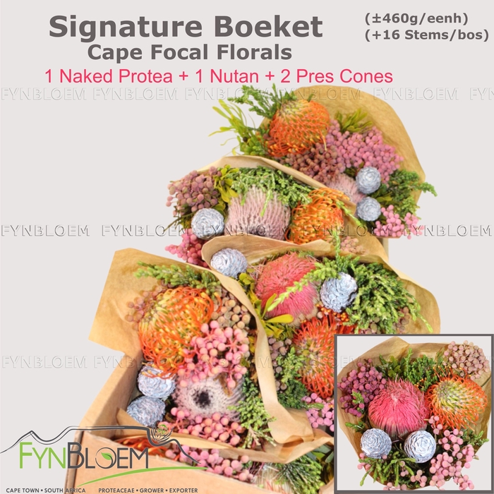 <h4>PROTEA PER BOS</h4>