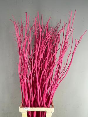 <h4>Mitsumata Flock Pink Bs(3)</h4>