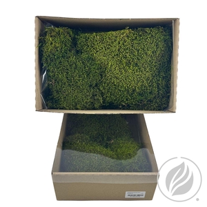Lappenmos Preserved Spring Groen X 6