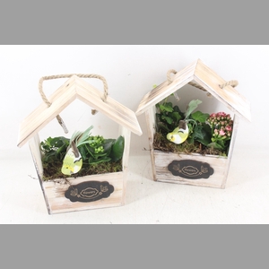 arr2 TD - Hout huis puntdak - roze/wit