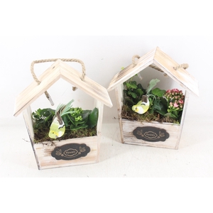 Arr2 Td - Hout Huis Puntdak - Roze/wit