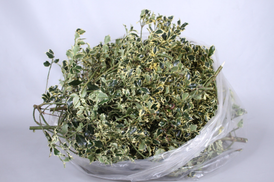 <h4>HULST BONT 3KG ZAK</h4>