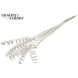Cane Spring on stem Covered White