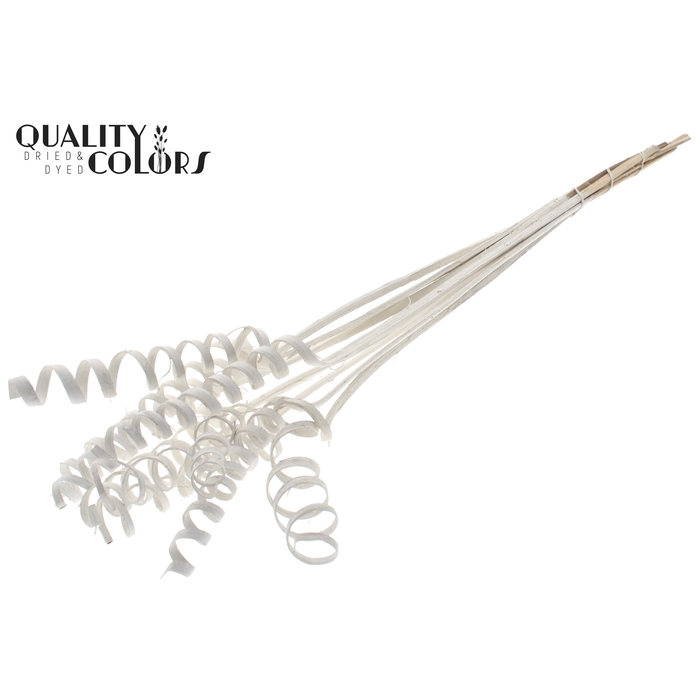 <h4>Cane Spring on stem Covered White</h4>