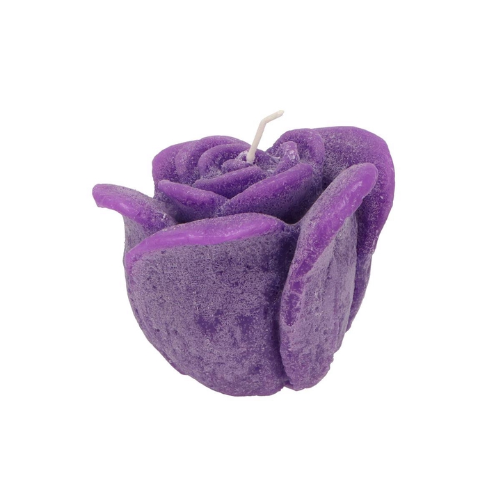 <h4>Candle Roos Purple 11x9cm Nm</h4>