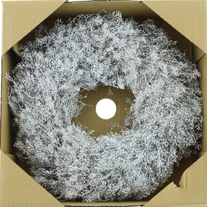 Wreath Lepidium White