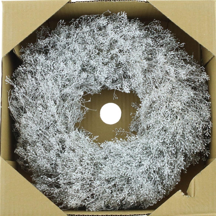 <h4>Wreath Lepidium White</h4>