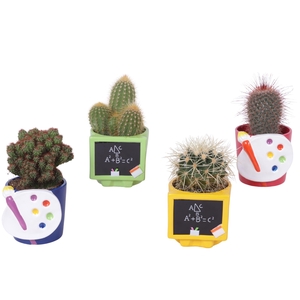 Thank you Teacher Arr. Cactus Ceramic Pot Teachermix Ø11cm 1PP