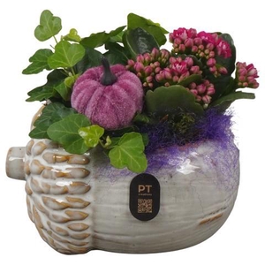 PTHI3267 Arrangement Autumn Indoor in keramiek pot in noot vorm