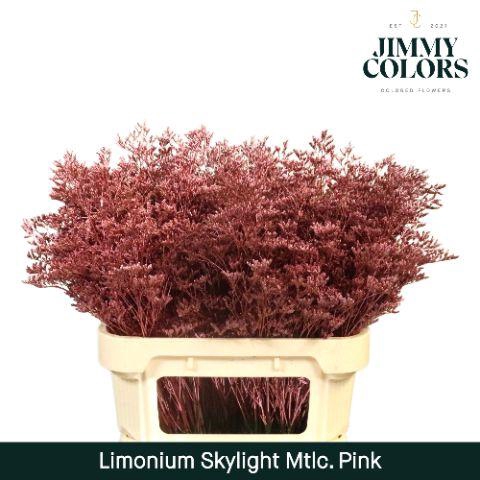 <h4>Limonium Skylight L80 Mtlc. Pink</h4>