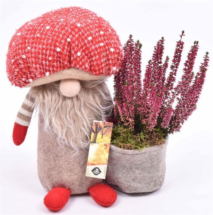 <h4>Gnoom herfst 20x17cm</h4>
