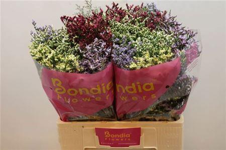 <h4>Lim Sin Diamond Gem</h4>