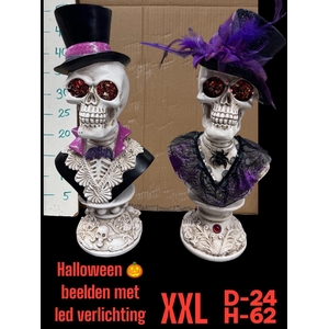 HUIS EN TUINDECO H%