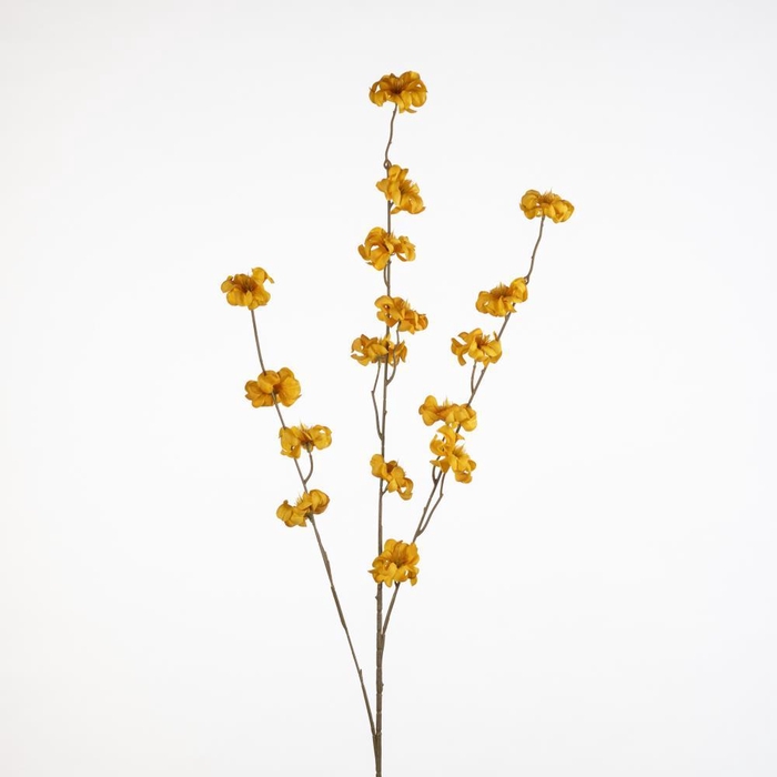 <h4>AF Blossom Frangi L115cm ye</h4>