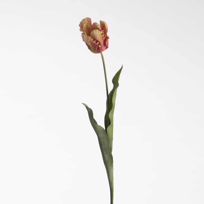 <h4>AF Tulip Parrot L83cm Salmon</h4>