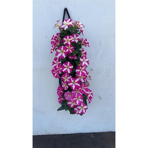 Overig perkplanten