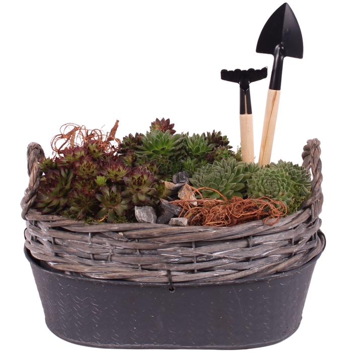 <h4>Opm Semp Arr. Outdoor Willow Basket Oval Zinc</h4>