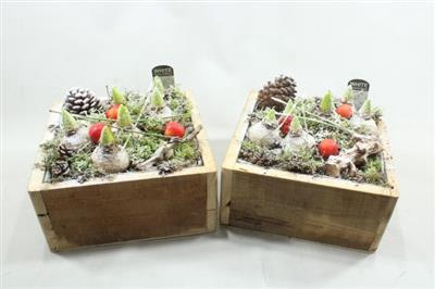 <h4>1102 Hout HYA VK</h4>