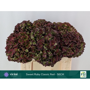 HYDR M MAG SW RUB CL