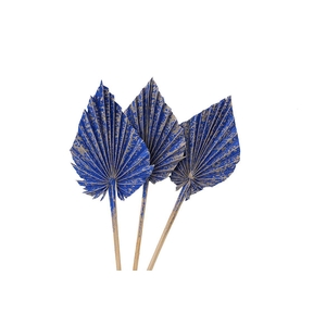 Dried Artz Palm Spear 10pc Matisse Bunch