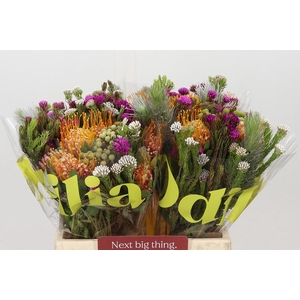 BQ Kaaps Groen Rivermix