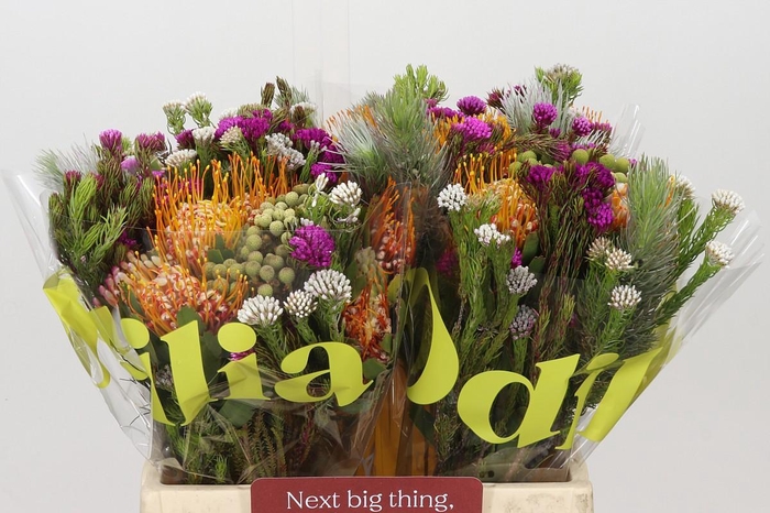 <h4>BQ Kaaps Groen Rivermix</h4>