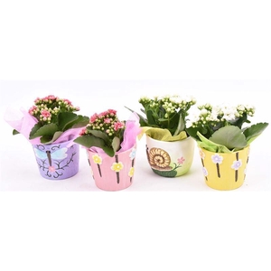 Keramiek sierpotjes 10cm