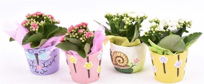 <h4>Keramiek sierpotjes 10cm</h4>