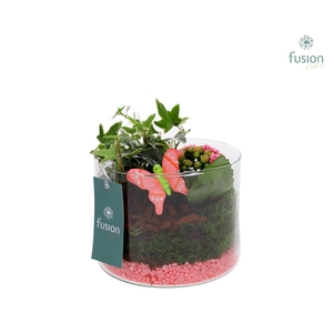 Glas Druppel met Arrangement