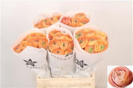 <h4>Ran Su Honey Salmon</h4>