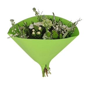 Hoes 35x35cm Angelo 70gr wit gestr. kraft groen 500/doos