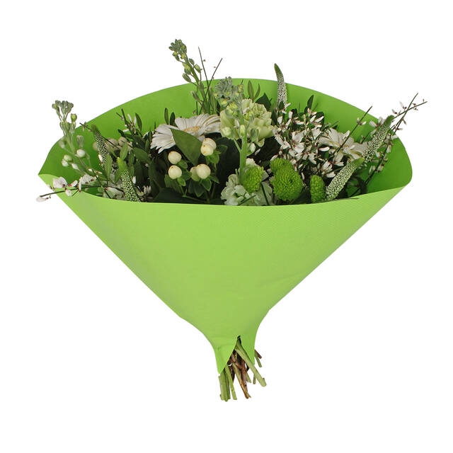 <h4>Hoes 35x35cm Angelo 70gr wit gestr. kraft groen 500/doos</h4>