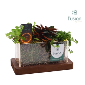 Acryl bakje LED rechthoek met groen Arrangement