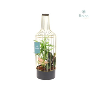 Fles metaal goudzwart Large met Trendy planten