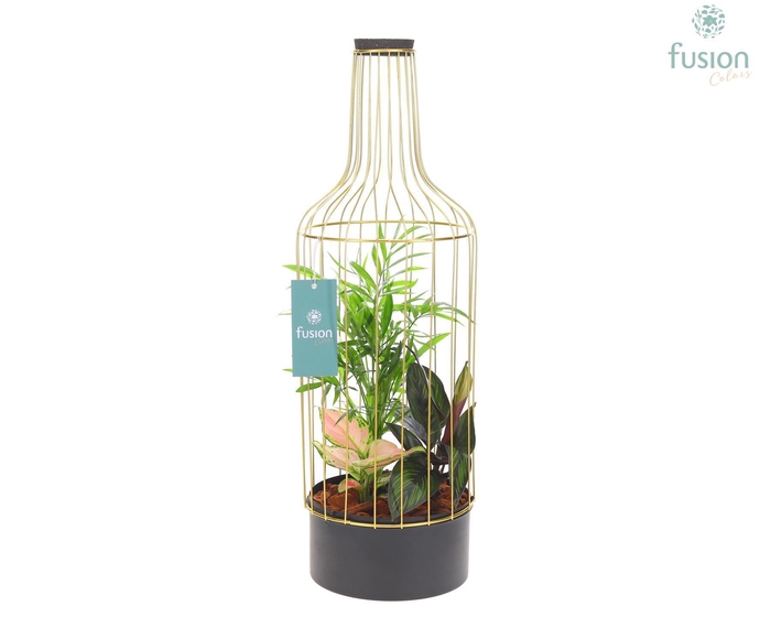 <h4>Fles metaal goudzwart Large met Trendy planten</h4>