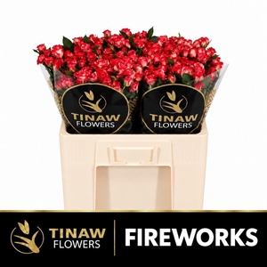 R TR FIREWORKS