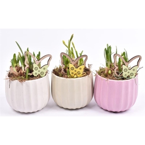 Keramiek pot kleur mix 14cm