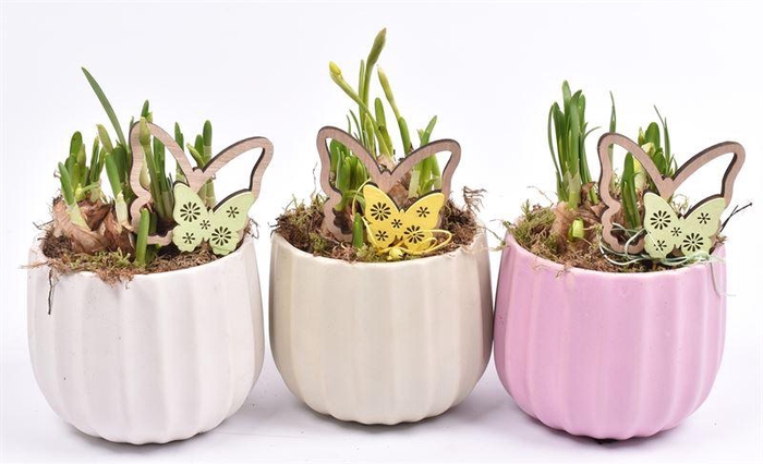 <h4>Keramiek pot kleur mix 14cm</h4>