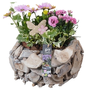 PTPP6997 Arrangement Patio in houten bak