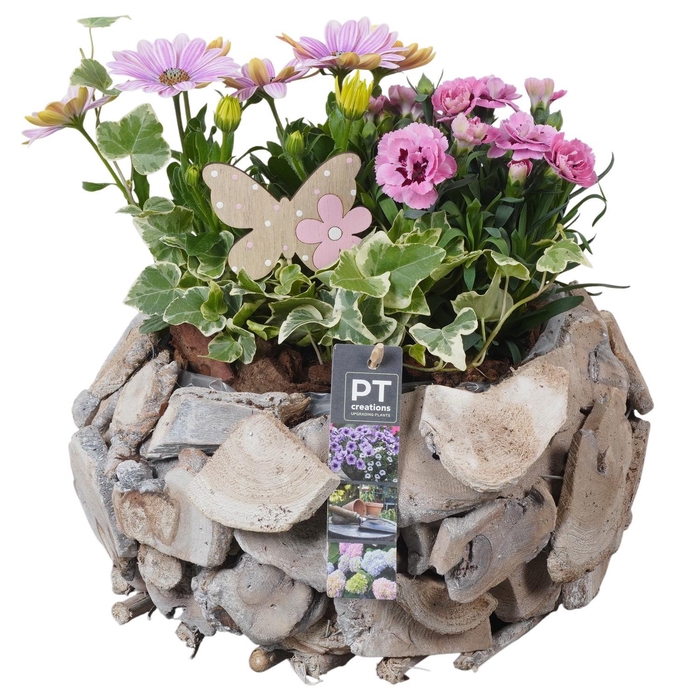 <h4>PTPP6997 Arrangement Patio in houten bak</h4>