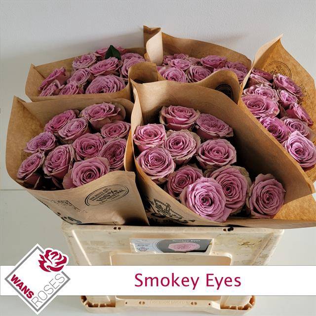 <h4>Rosa Garden Smokey Eyes</h4>