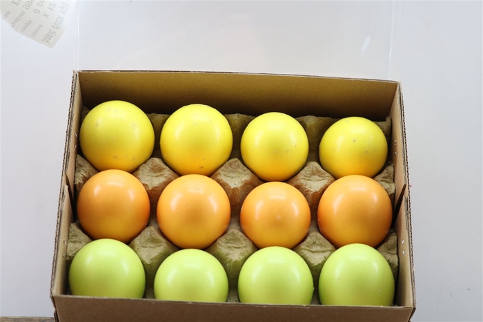 <h4>Deco Egg Duck Green Yellow Orange Mix</h4>