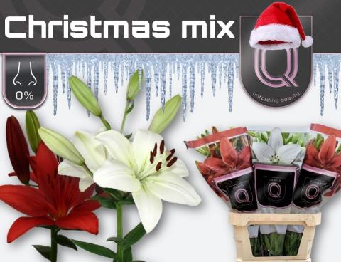 <h4>LI LA CHRISTMAS MIX 4+.</h4>