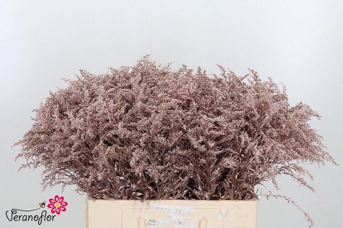 <h4>SOLI OV KLB H%</h4>