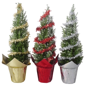 PTK25146 Ellwoodii met sneeuw in glimmende potcover mix met deco