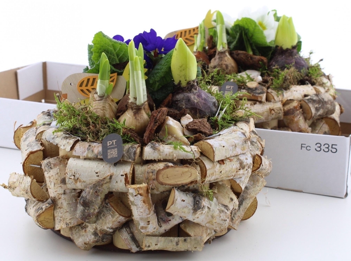 <h4>ARR PL IN SCHAAL</h4>