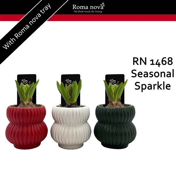 <h4>Arrangementen Hyacinthus 6%</h4>