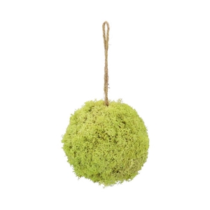 Ball Reindeer Moss D12